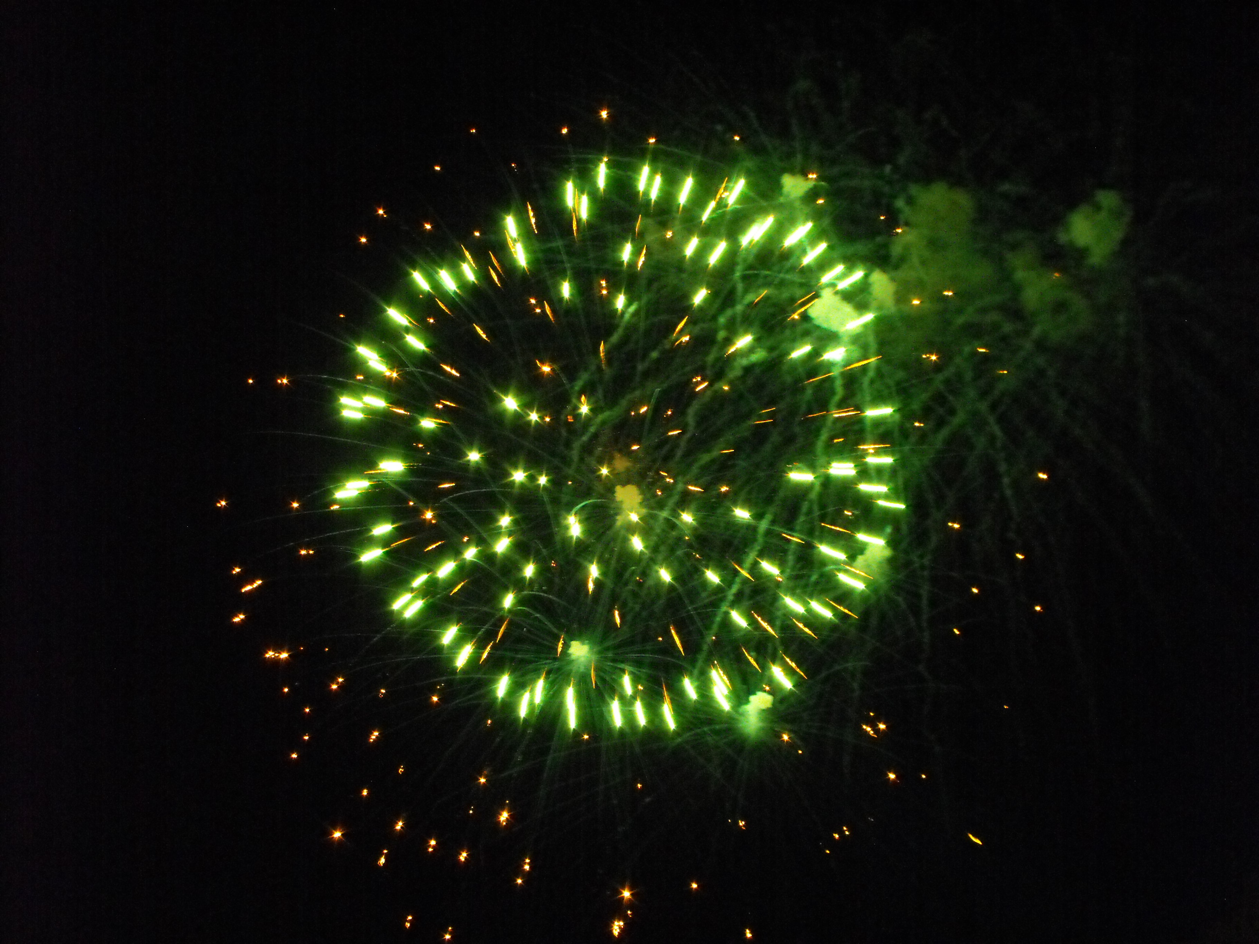 ./2010/Fourth of July/4th July Fireworks Wilm 0070.JPG